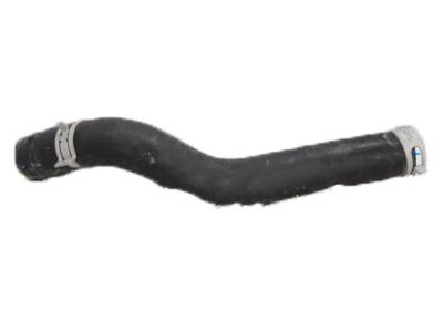 HOSE,WATER UPPER (19501-6C1-A01) - 1