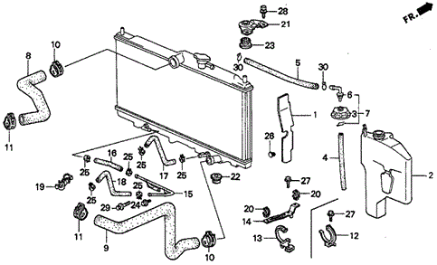 HOSE,WATER LWR (19502-P0A-010) - 2