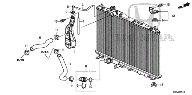 HOSE,WATER LOWER (19502-R1A-A01) - 2