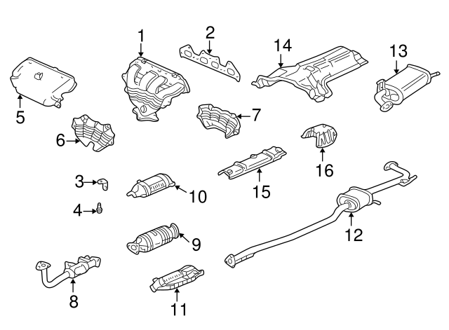 Глушник основний - 4